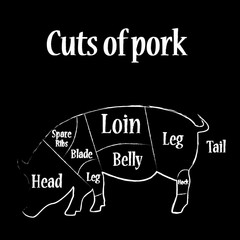 Pork cuts vector