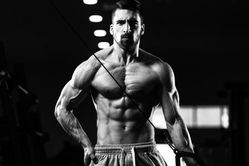 Fototapeta na wymiar Young Man Exercising Triceps In The Gym