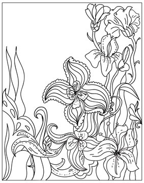 Decorative Coloring summer floral template black on white