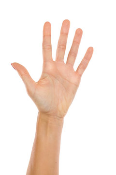 Woman's Hand Showing Five Fingers