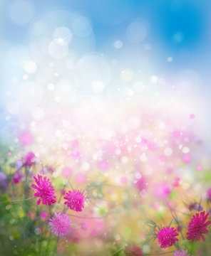 Fototapeta Sunshine, floral, nature background.