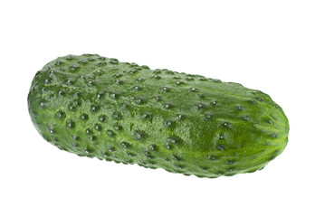 Сucumber vegetable on wite