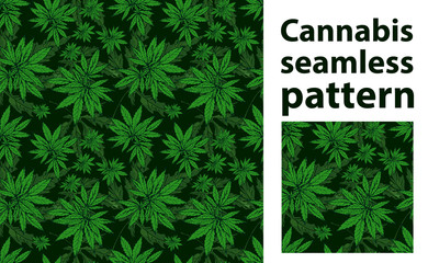 Cannabis leafs seamless vector pattern