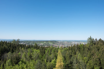 Fototapeta premium Stadt hinter dem Tannewald im Frühling