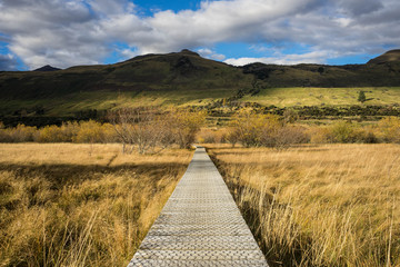 boardwalk/path traverses wetlands