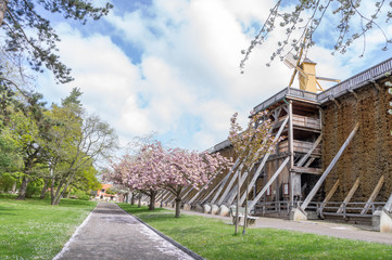 spa garden and graduation house with windmill