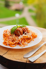 Portion of fresh spaghetti with meat balls