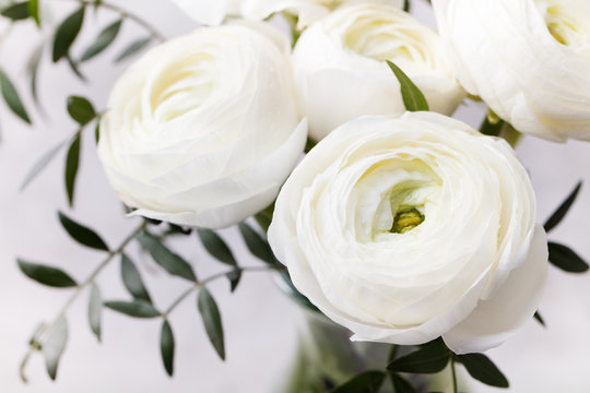 Fototapeta White ranunculus flowers in a glass vase Grey background