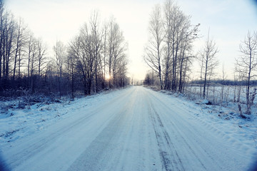 Obraz premium winter road in a snowy forest