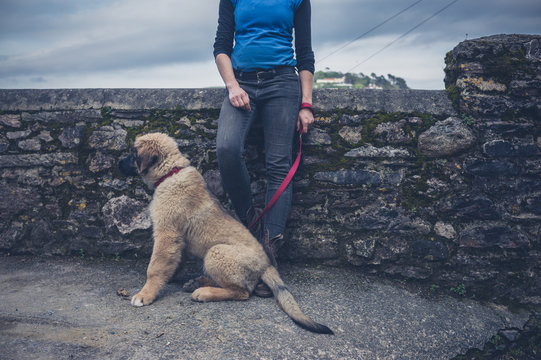 Woman by wall with Leonberger puppy