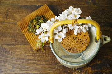 Japan's teapot with green tea and sakura flowers