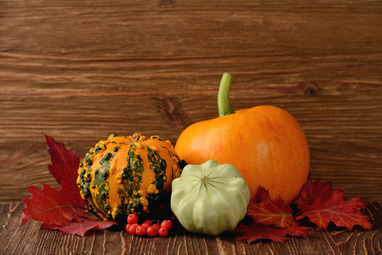 decorative pumpkins and autumn leaves