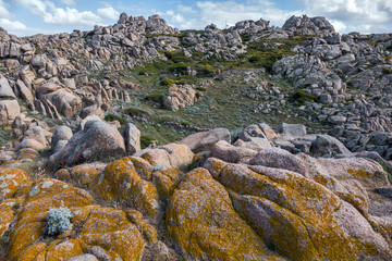 The coastline at Capo Testa Sardinia