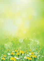 Fotobehang Vector nature background with chamomiles and dandelions. © rvika