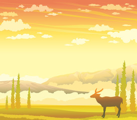 Obraz na płótnie Canvas Deer and autumn landscape. wild nature.