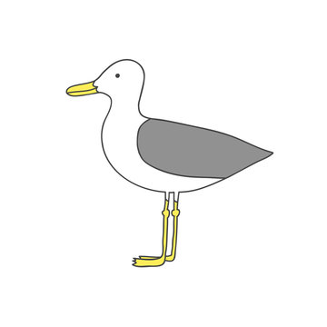 Hand drawn cartoon seagull. Isolated. On white background. Vector flat illustration