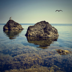 Crimea seascape 1