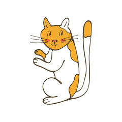 Cute cat character illustration