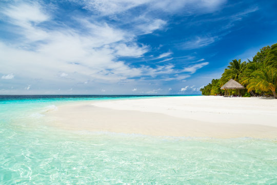 coco palms on tropical paradise beach with turquoise blue water and blue sky / Insel Paradies mit Traumstrand Palmen vor blauem Himmel Strand Traumurlaub