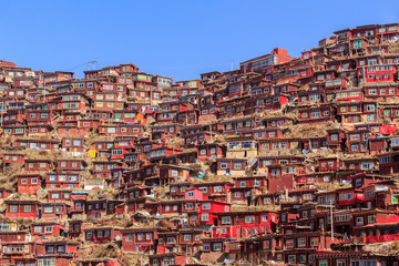 Top view monastery at Larung gar (Buddhist Academy) in sunshine day and background is blue sky, Sichuan, China - obrazy, fototapety, plakaty