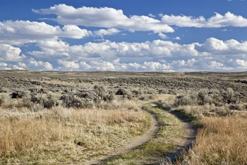 Foto op Canvas sagebrush high desert in Wyoming © MarekPhotoDesign.com