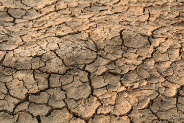 Cracked ground