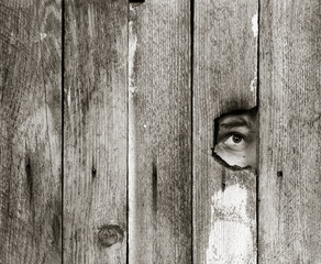 the eyes of a man spying through a hole in an old wooden fence. with space for posting information....