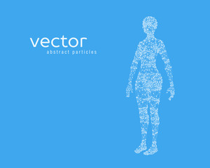 Vector illustration of female body