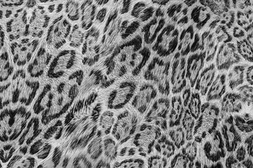 texture of print fabric striped leopard