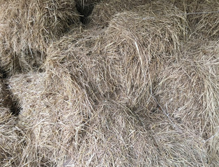 Dry straw