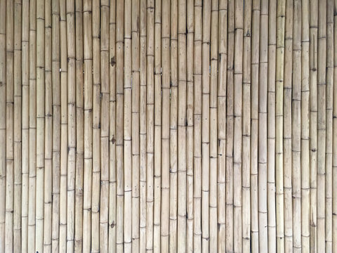 slim bamboo background