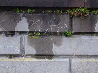 Wandschäden
