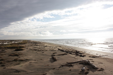 Берег северного моря.