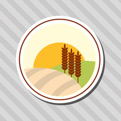 Wheat icon. landscape design. Agriculture concept
