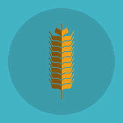 Wheat icon. grain design. Agriculture concept