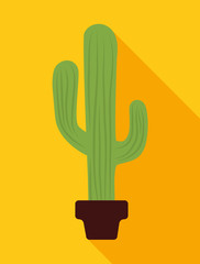 Mexico design. Culture icon. Colorful illustration