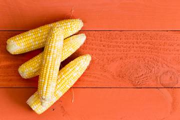 Four fresh sweet corn on the cob on orange