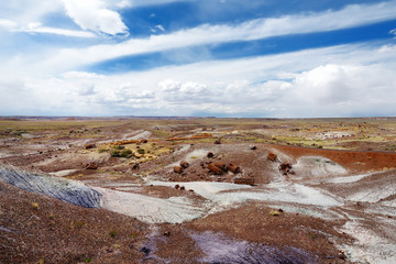 Stunning petrified wood in the Petrified Forest National Park, Arizona