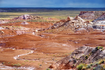 Stunning petrified wood in the Petrified Forest National Park, Arizona