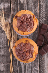 chocolate cupcake