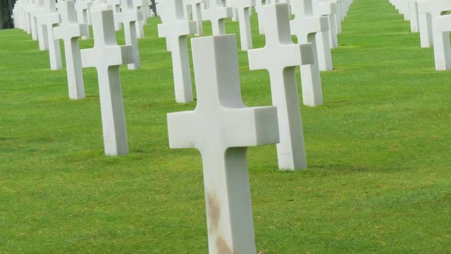 The green grass with the white crosses in Normandy American Cemetery in France