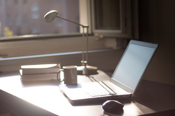 Arbeitsplatz mit Laptop, Tasse, Bücher und Lampe 