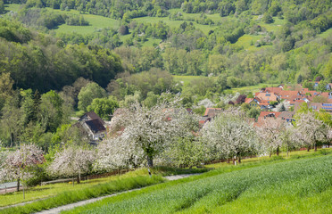 Kocherstetten in Hohenlohe