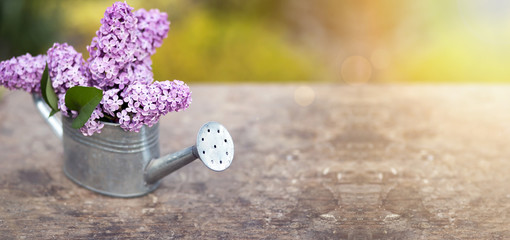 Website banner of spring lilac flower bouquet