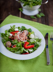 Fresh green salad 