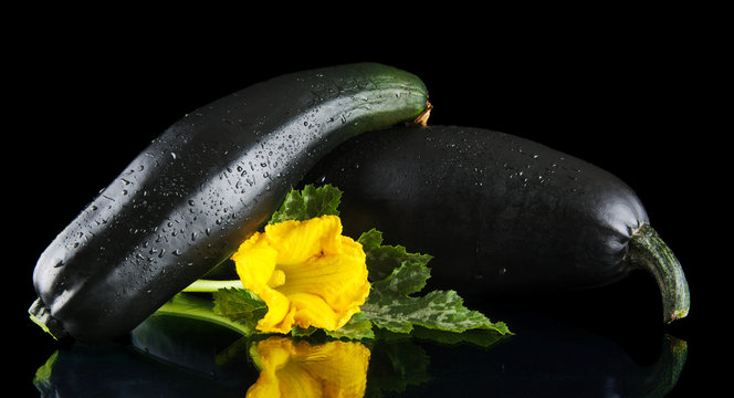 Mature courgettes with flowers on black background