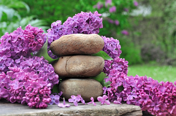 décoration floral avec du lilas et des pierres