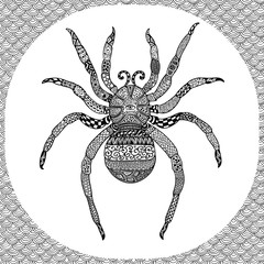 Coloring page of  Balck Spider, zentangle illustartion 