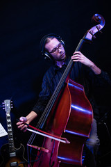 Musician playing bass at the jazz concert