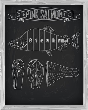 Beautiful fresh salmon closeup side view drawn with chalk. Pink